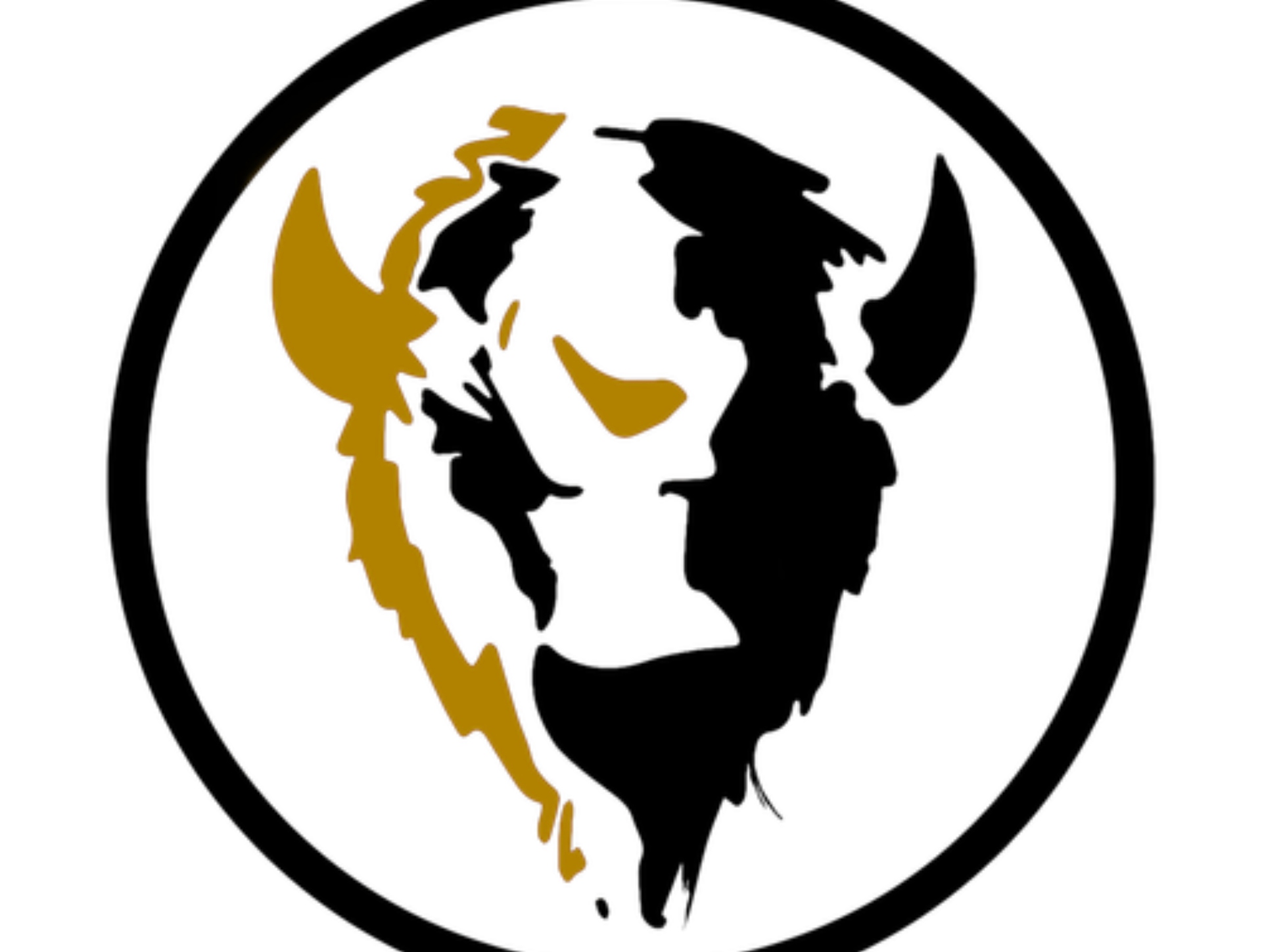 FAQs background