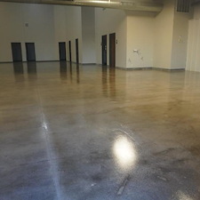 Gallery 81